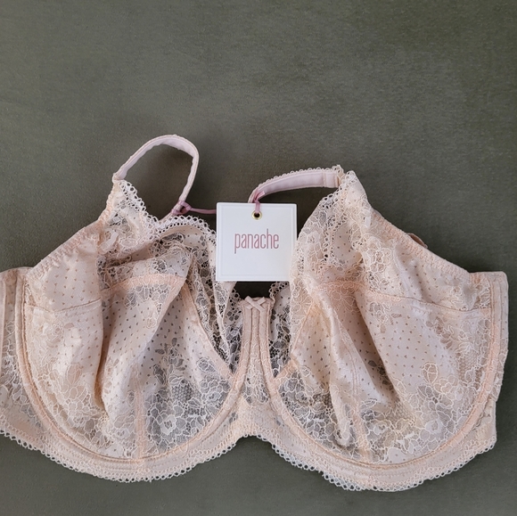 Panache Clara Full Cup Bra 7255 Underwired Non-Padded, Size 34J, Nude colour,New - Picture 3 of 16
